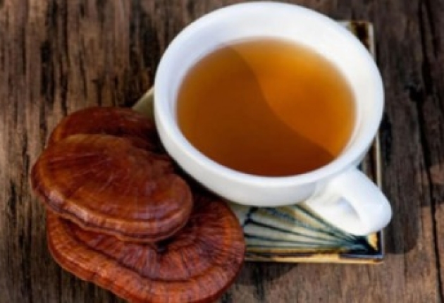Trà nấm linh chi: Những lợi ích cho sức khỏe