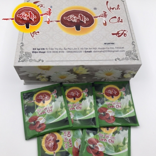 TRÀ TÚI LỌC LINH CHI HOA CÚC