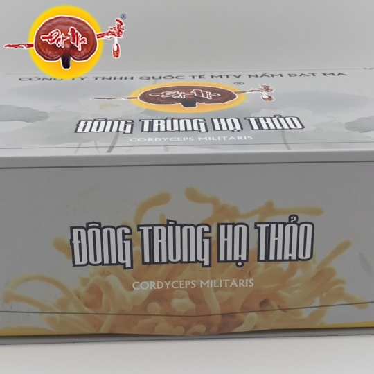 HỘP QUÀ ĐÔNG TRÙNG HẠ THẢO KHÔ (Hũ vuông)