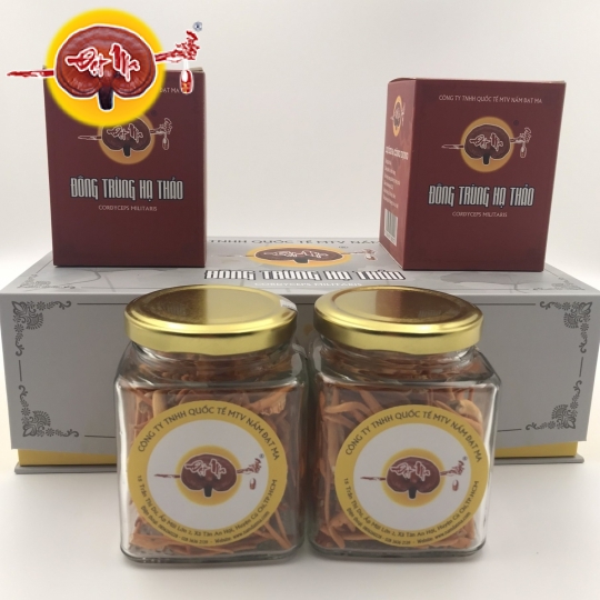 HỘP QUÀ ĐÔNG TRÙNG HẠ THẢO KHÔ (Hũ vuông)