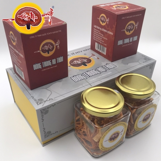 HỘP QUÀ ĐÔNG TRÙNG HẠ THẢO KHÔ (Hũ vuông)