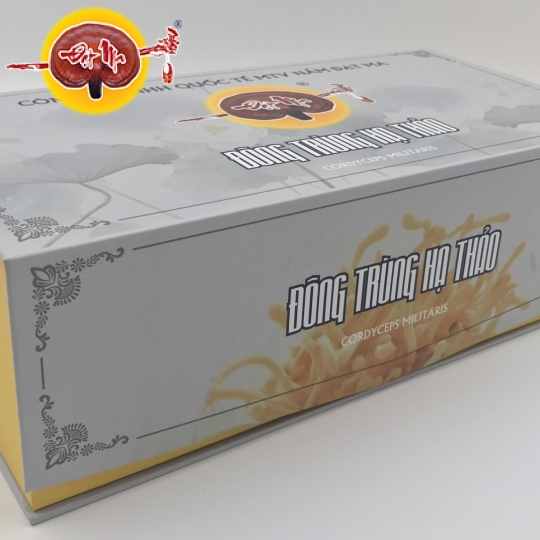 HỘP QUÀ ĐÔNG TRÙNG HẠ THẢO KHÔ (Hũ vuông)