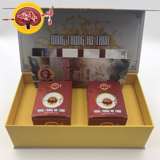 HỘP QUÀ ĐÔNG TRÙNG HẠ THẢO KHÔ (Hũ vuông)