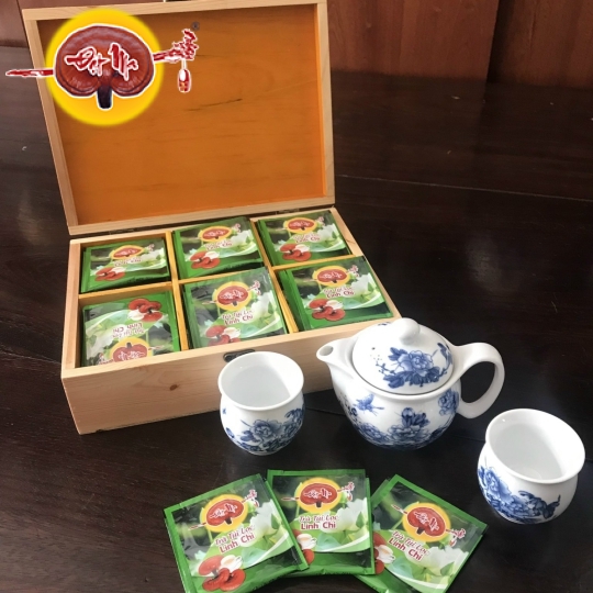 TRÀ TÚI LỌC LINH CHI HOA CÚC