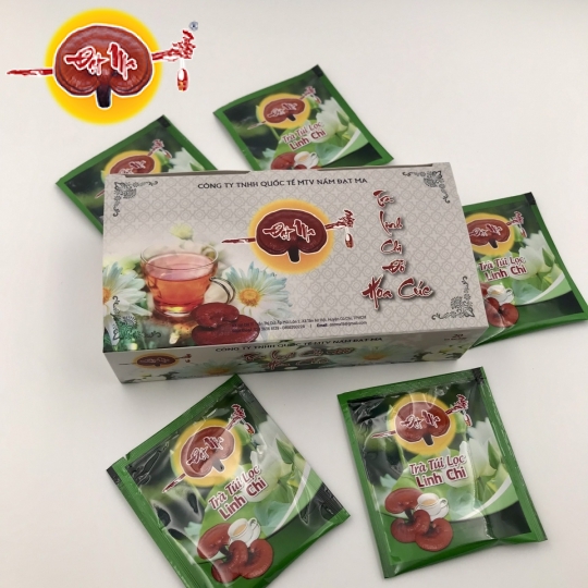 TRÀ TÚI LỌC LINH CHI HỘP NHỎ