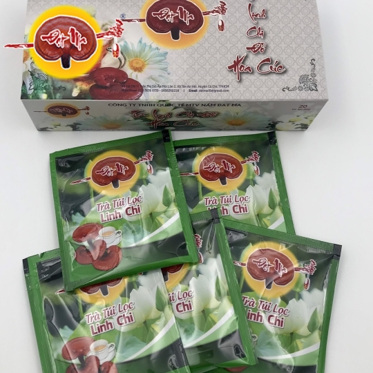 TRÀ TÚI LỌC LINH CHI HỘP NHỎ